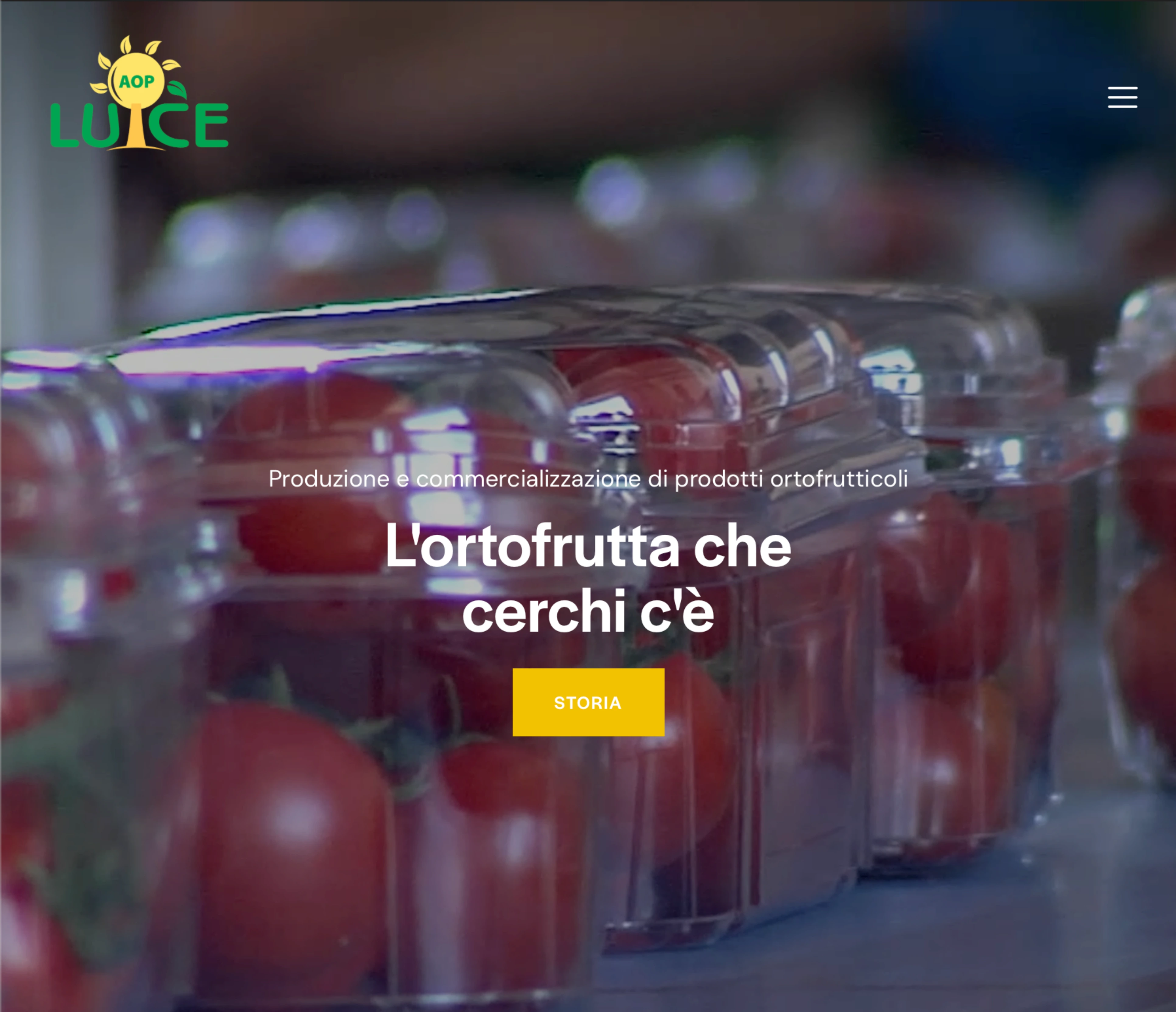 Progetto Aopluce.com